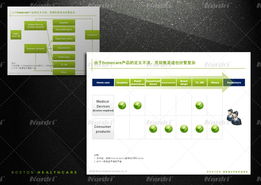 波士顿医疗健康数据演示设计 专业商务演示如何助力行业沟通与决策